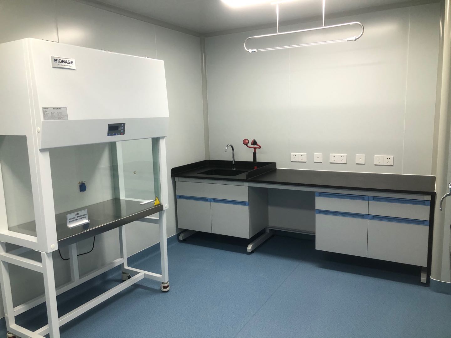 项目成果展示